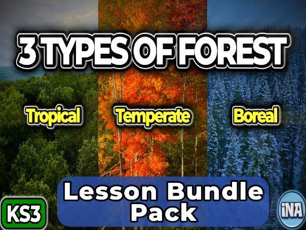 The Forests of the World - Complete KS3 Geography Lesson Pack