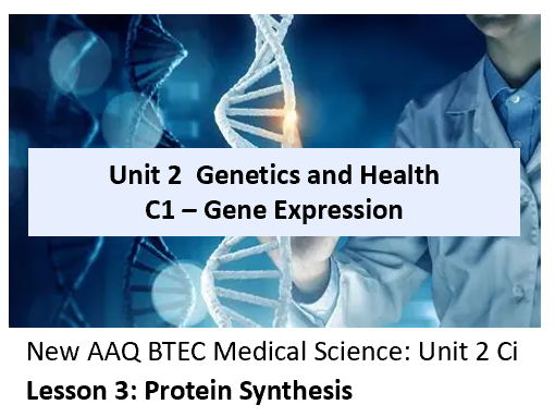 AAQ BTEC Medical Science Unit 2 Ci Gene Expression – Lesson 3 Protein Synthesis
