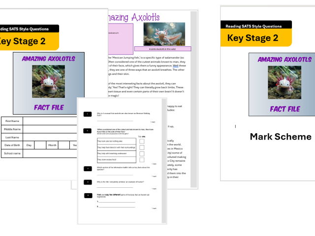 Axolotl SATS themed Non-fiction reading text, questions and answer booklet