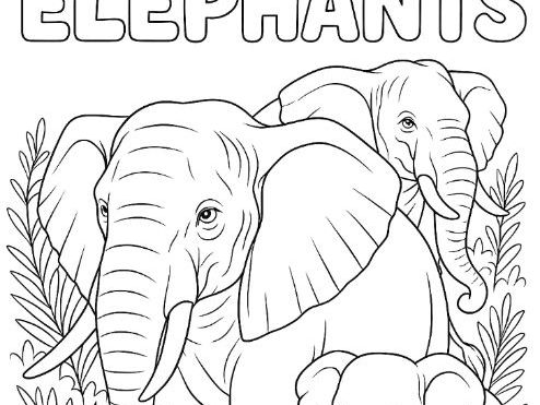 Elephants Animals Colouring Page