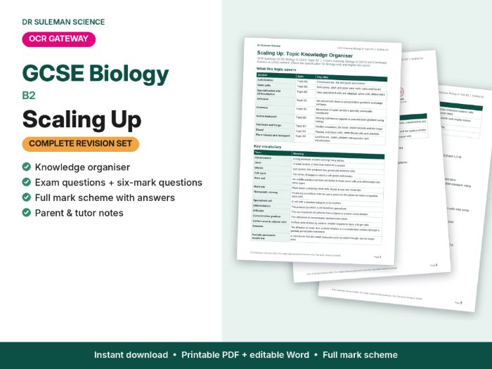 OCR Gateway GCSE Biology B2 Scaling Up Revision + Exam Questions
