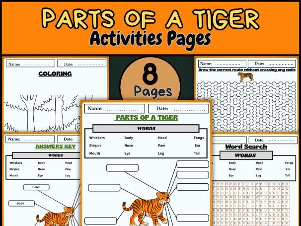 Parts of a Tiger | Animal Labeling Worksheet, Word Search, Coloring & Maze