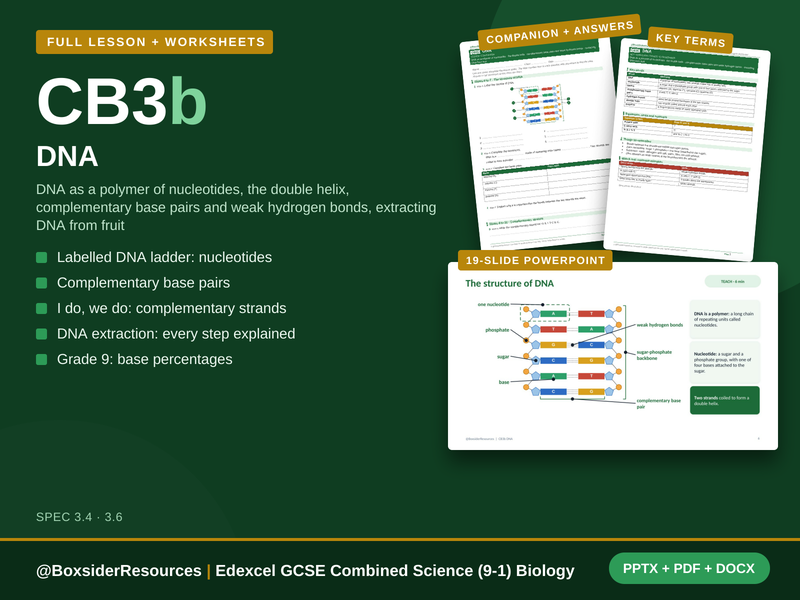 CB3b DNA | Edexcel GCSE Combined Science (9-1) | Lesson + Worksheet
