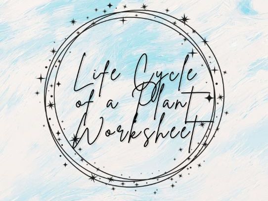 Life Cycle of a Plant Worksheet