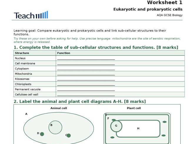 AQA GCSE Biology Cell Biology Worksheets & Answers