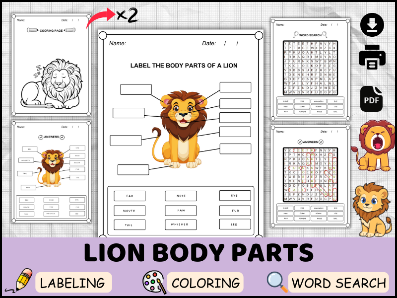 Lion Body Parts in English | King of the Jungle Labeling, Coloring & Word Search Worksheets