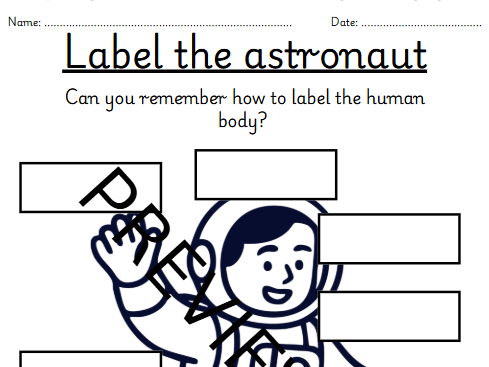Astronaut Body Labelling – Animals Including Humans
