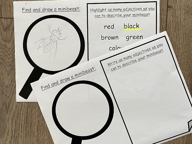 What can you see minibeast worksheet