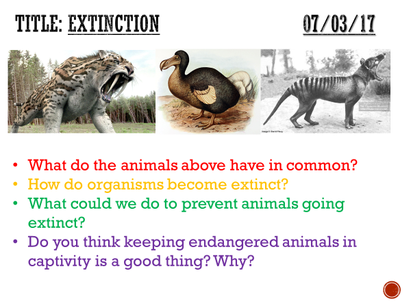 Extinction - complete lesson (KS3)