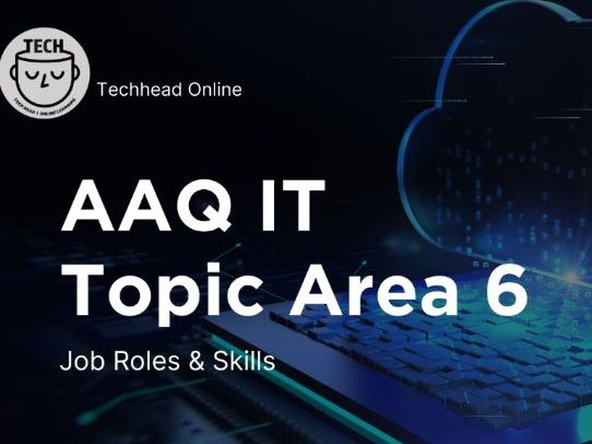 OCR AAQ IT: F160 Topic Area 6 Scheme of Work - Advanced Nationals