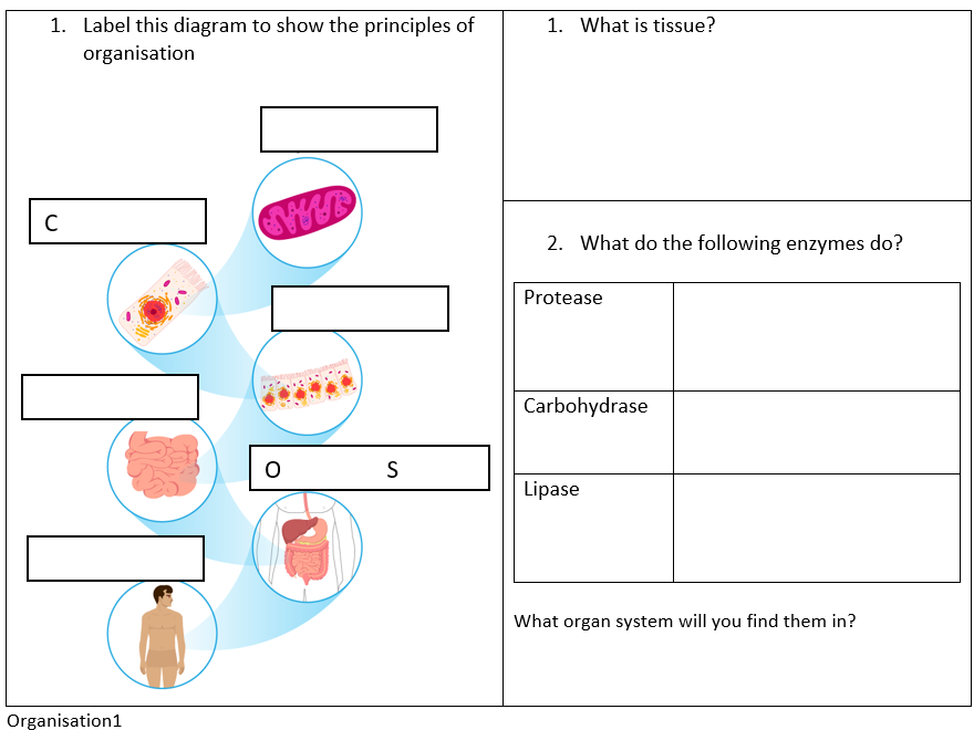 Biology Boarding Passes - Initial assessments