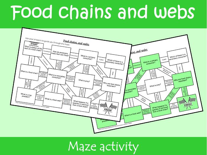 Food Chains and Webs Maze Worksheet | KS2–KS3 Science Revision Activity