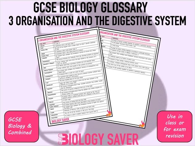 GCSE Biology Glossary - 3 Organisation and Digestion