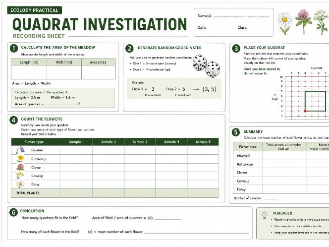 Quadrat Investigation | Ecology Practical | GCSE Biology | KS3 & KS4 | Population Estimates