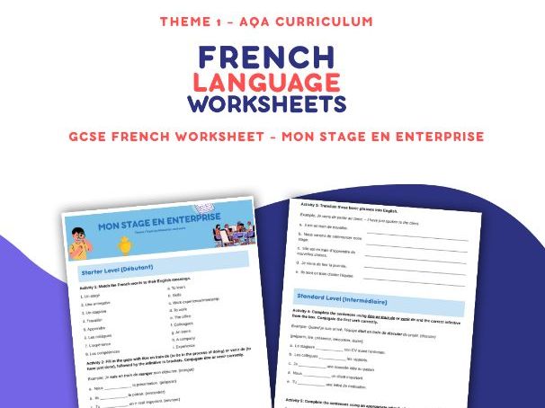 Mon Stage en Enterprise - GCSE Worksheet AQA Theme 1