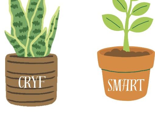 Posteri Planhigion Meddylfryd Twf