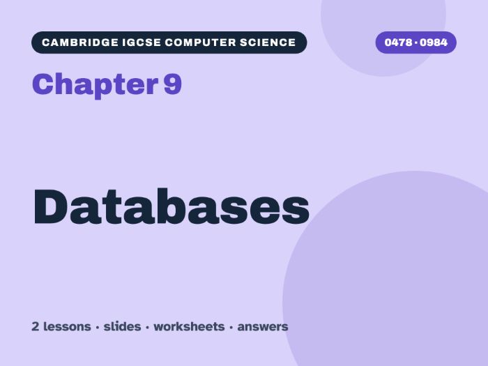Cambridge IGCSE Computer Science (0478) Chapter 9: Databases – 2 lessons + worksheets