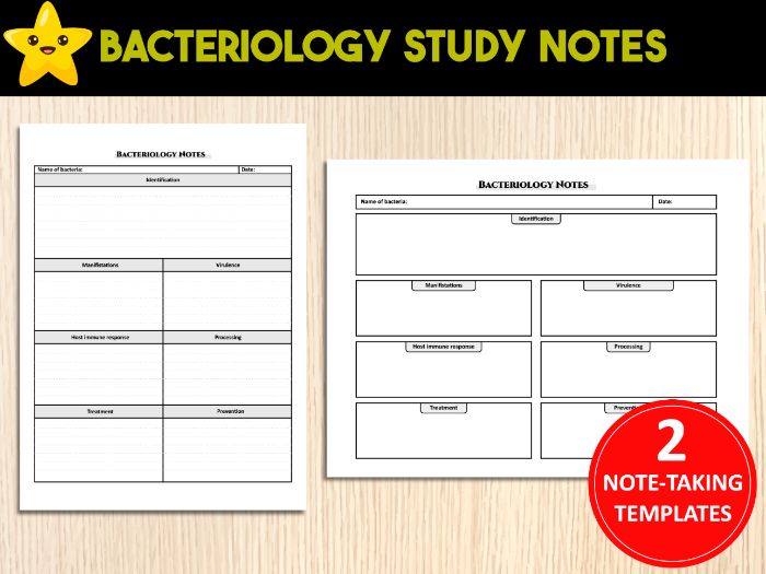 Bacteriology Study Notes Template | Microbiology Note-Taking Sheets for Medical & Science Students