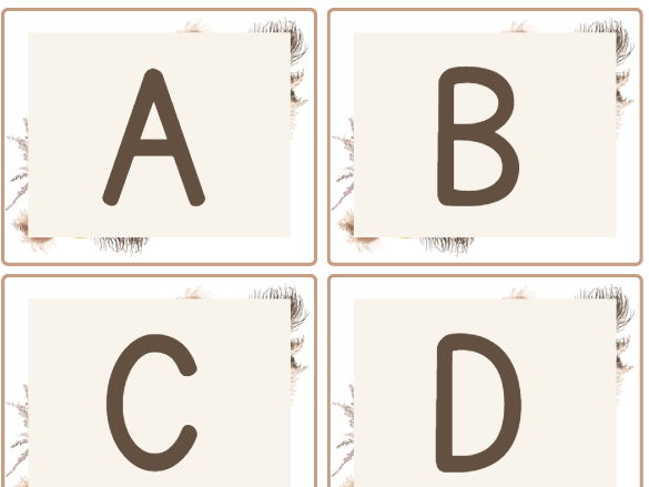 Neutral Boho Display Letters | Editable Classroom Display Letter Bunting | PowerPoint Resource