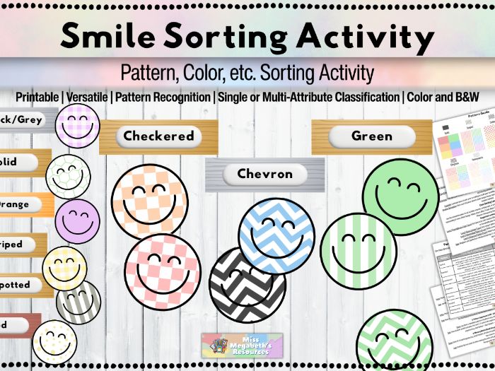 Smile Pattern & Color Sorting Activity | Task Box & Center Kit for SPED / Early Childhood