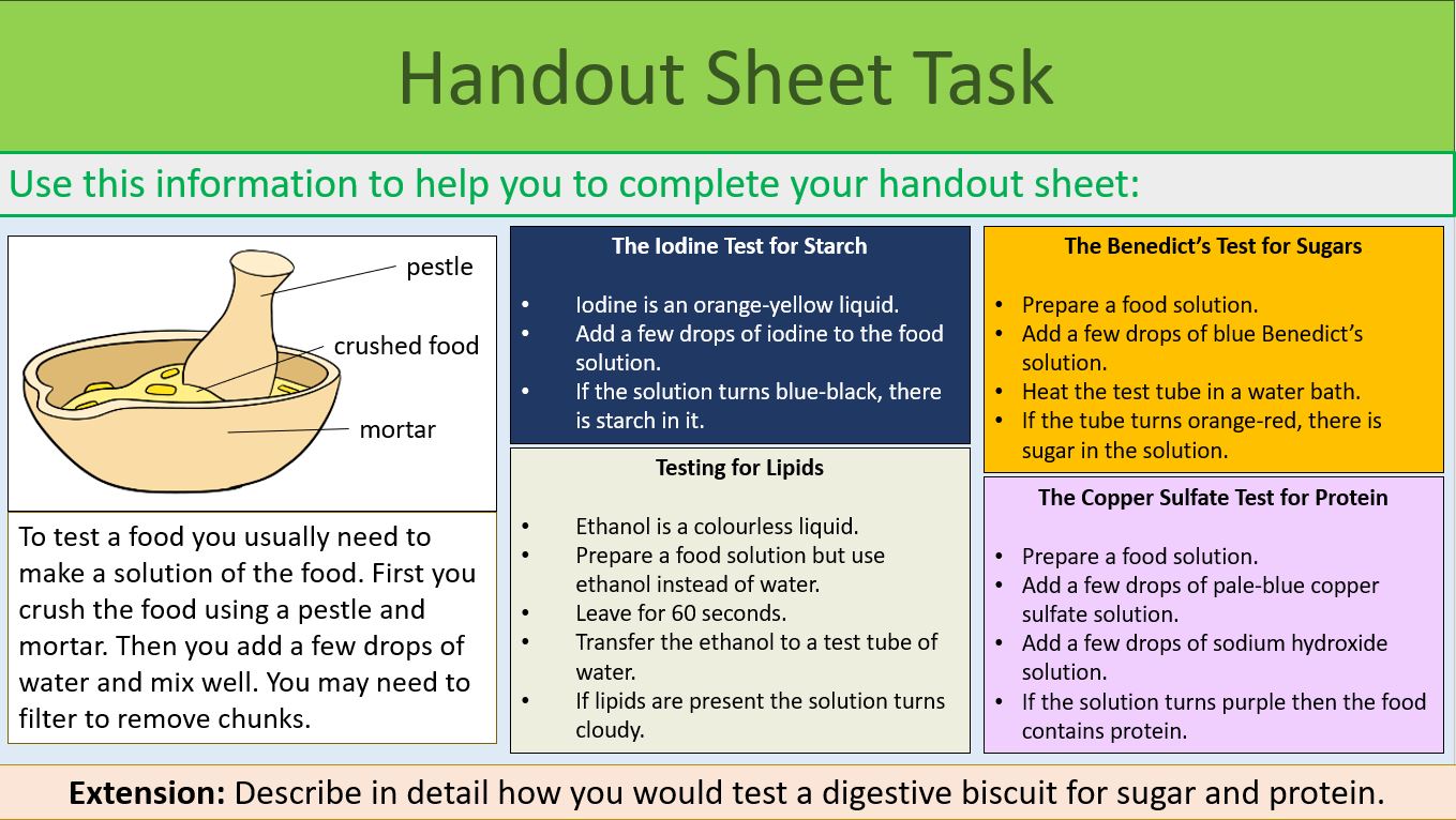 KS3 Year 8 Food Tests Teaching Resources