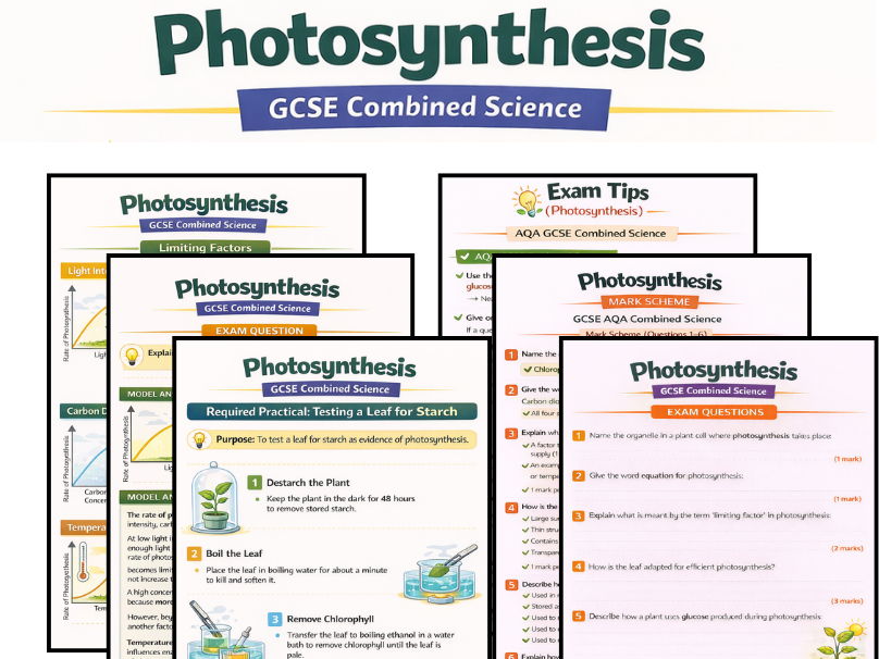 AQA GCSE Combined Science Photosynthesis Pack