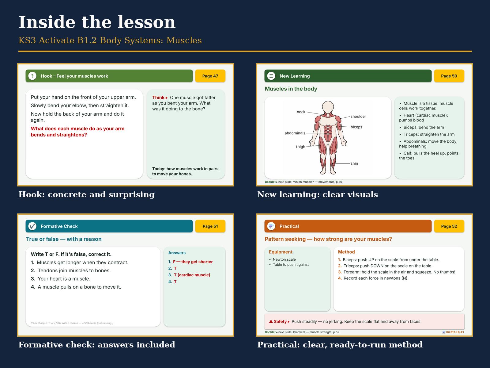 System Unit Png KS3 Activate B1.2 Body Systems: Muscles | Teaching Resources