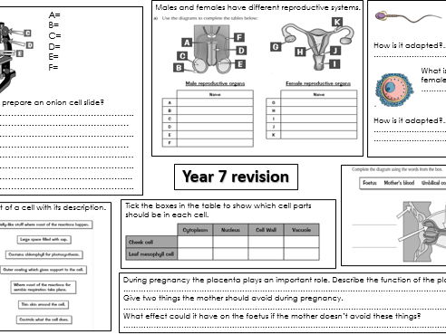 KS3 Science End of year revision for assessment lesson PPT