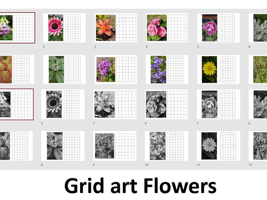 Grid art worksheets- flowers