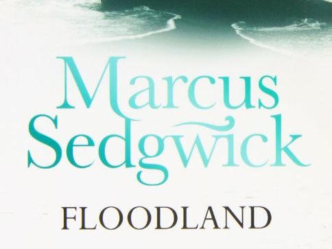 Floodland overview + PowerPoints based on CLPE planning