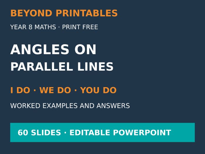 Angles on Parallel Lines | I Do, We Do, You Do | Year 8 Maths | Print Free