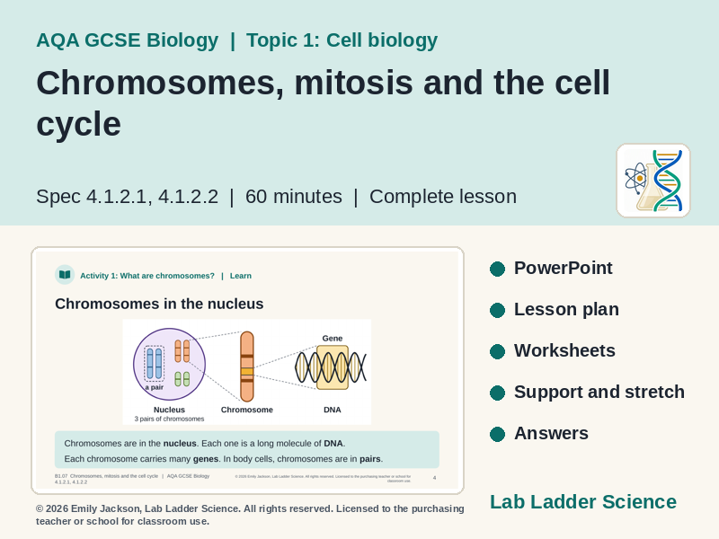 B1-07 Mitosis & the Cell Cycle: AQA GCSE Biology