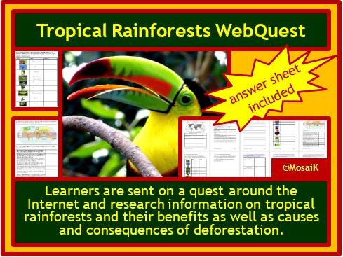 Rainforest tropics WebQuest