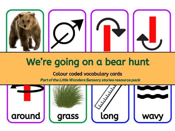 Vocabulary cards - We're going on a bear hunt