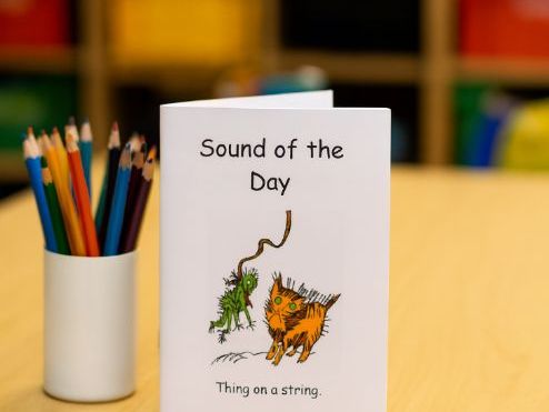 RWI Set 1 Special Friends Booklet -Editable Resource