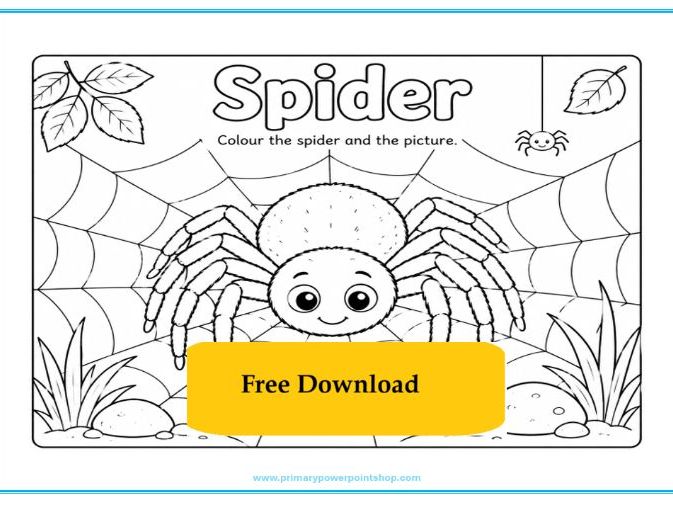FREE Spider Colouring Sheet for KS1 & KS2