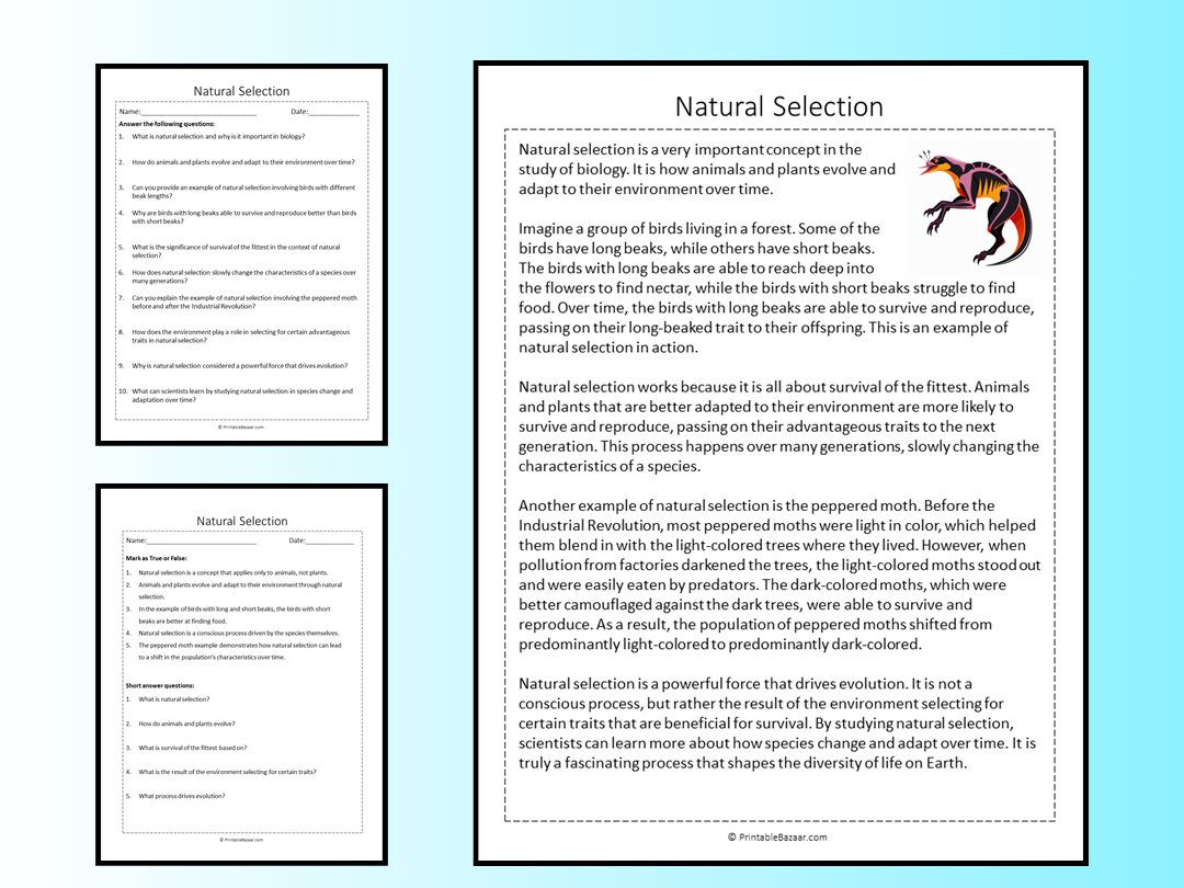 Natural Selection Reading Comprehension Passage Printable Worksheet | Teaching Resources