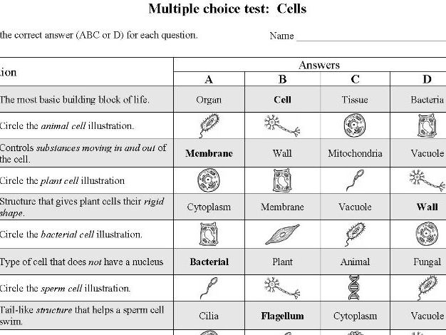 Cells (Multiple Choice)