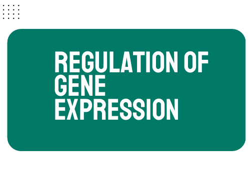 AP Biology Unit 6: Regulation of Gene Expression