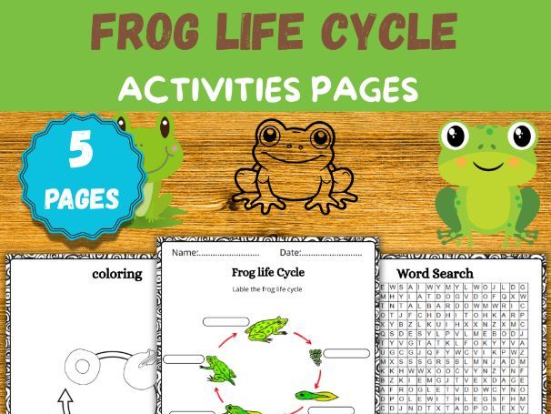 Frog Life Cycle Worksheets