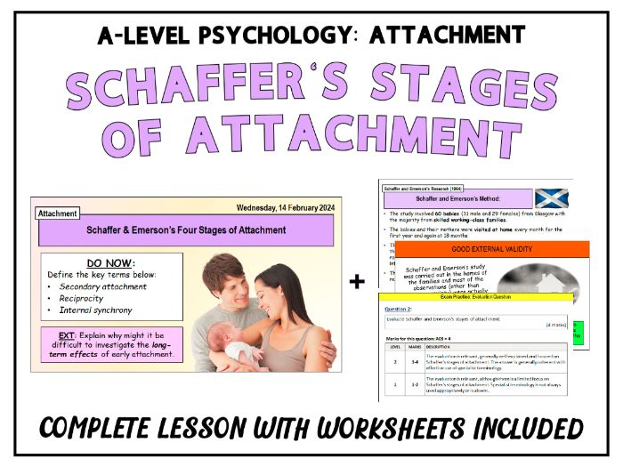 ALevel Psychology SCHAFFER & EMERSON'S STAGES OF ATTACHMENT (1964