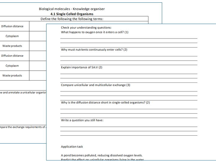 AQA A Level Biology Gas Exchange Flipped Learning Bundle