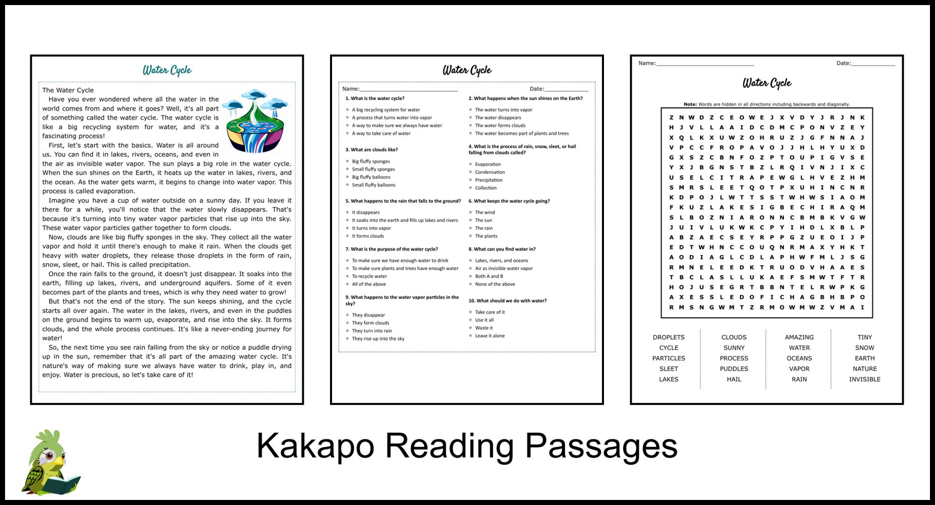 Water Cycle Reading Comprehension and Word Search Teaching Resources