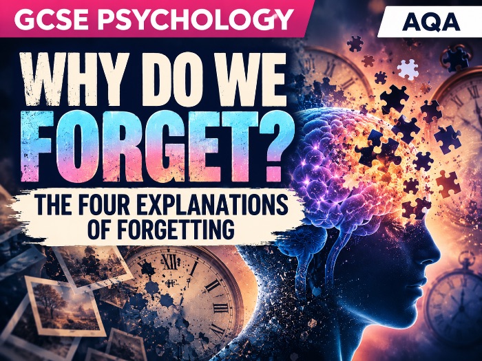 GCSE Psychology Memory: Why Do We Forget? Lesson + Workbook