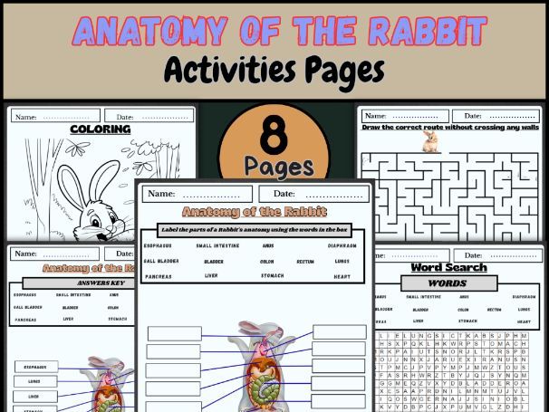 "Anatomy of a Rabbit | Labeling Diagram, Coloring, Word Search & Activities"