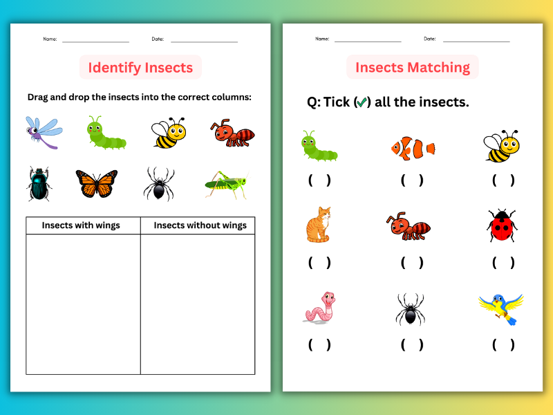 Insect Worksheets Kindergarten Insect Worksheets Kindergarten