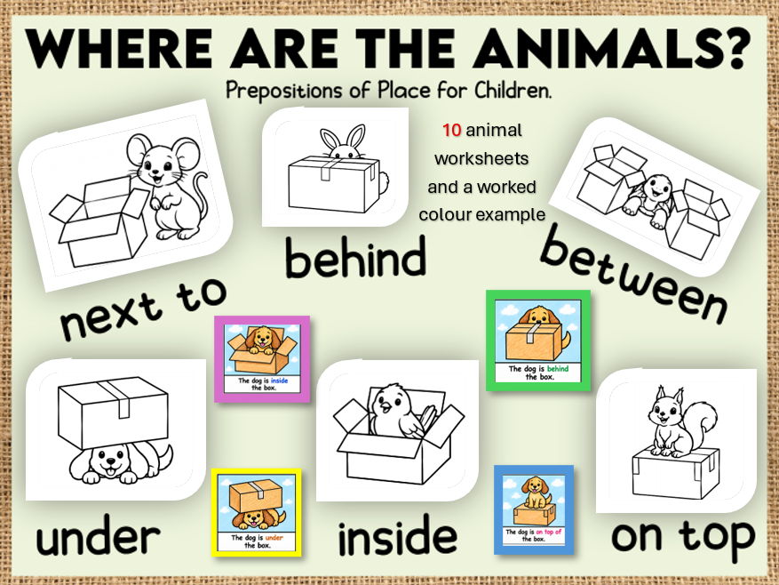 Where are the Animals? Prepositions