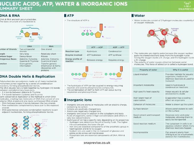 biology a-level coursework help