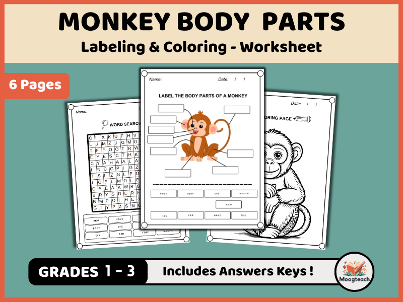 Monkey Body Parts / Animal Anatomy / Labeling / Coloring Worksheet / Jungle Animals / EYFS / KS1