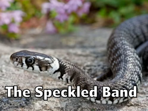 The Speckled Band